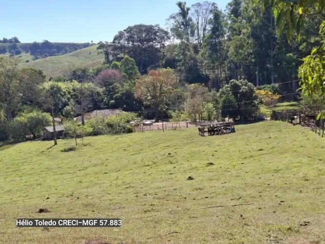 Um Espetáculo de Beleza! Fazenda com 96 Hectares, localizada em Liberdade/MG