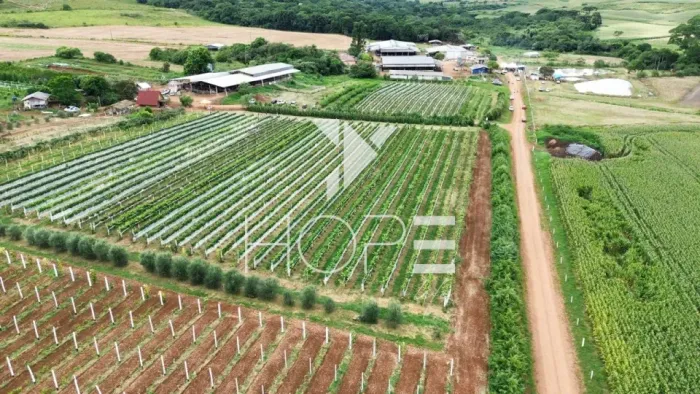 Fazenda leiteira à venda com 53 alqueires - 130 hectares - 120 vacas Holandesas - 3.500 li