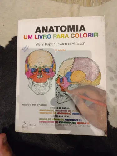 Anatomia um livro para colorir