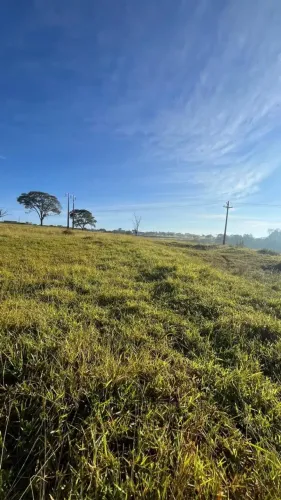 SÍTIO À VENDA | 22 ALQUEIRES | PECUÁRIA PRONTA | 10 ALQUEIRES EM CANA | 28 KM DE SÃO JOSÉ