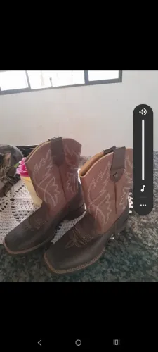 Bota