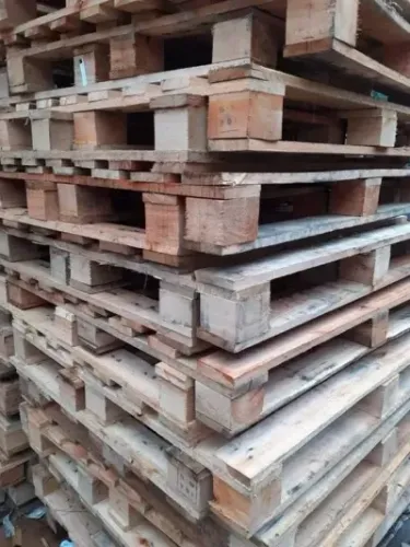 arvores frutiferas 1 metro altura amora limao taiti limao siciliano e outras quase doaçao