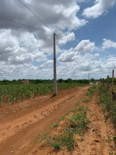 OPORTUNIDADE - ÁREA RURAL EM COTIA