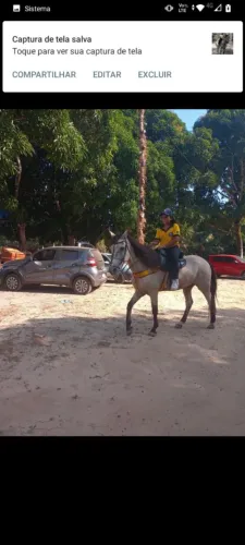 Vídeos de cavalo mangalarga