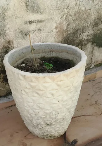 Vaso resistente de cimento para plantas