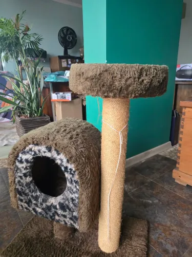 Casinha com arranhador para gatos 