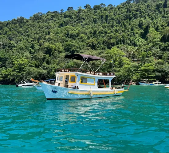 Barco de fibra