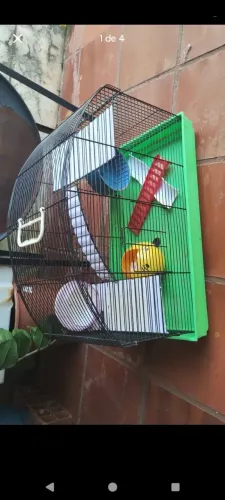 Gaiola hamsters 