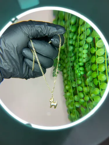 Cordão de Ouro Maciço 18k
