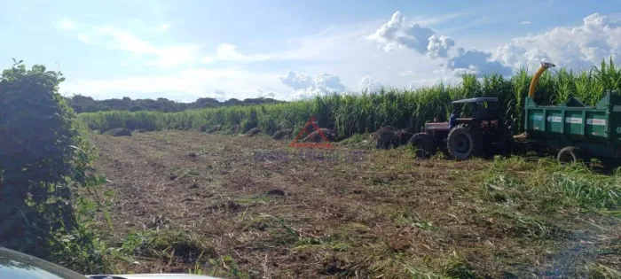 Fazenda em Zona Rual - Altos