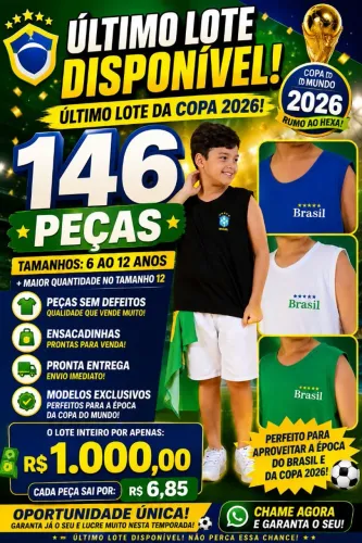 LOTE DE CAMISETAS MENINOS BRASIL