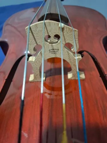 Violoncelo Rolim Milor 4/4 (2018) - Configuração Premium de Luthier