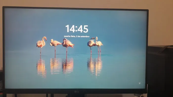 Monitor LG 23,8 POL.