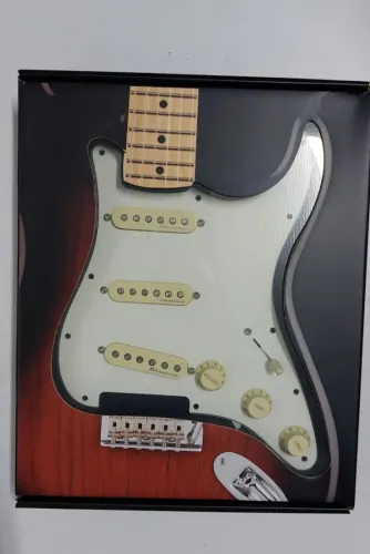 Escudo Completo Original - Fender Vintage Noiseless Completo