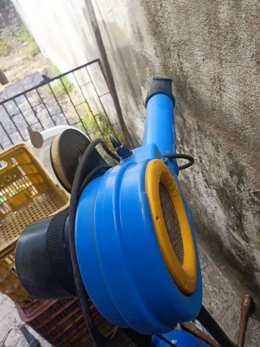 Secar e soprador para banho e tosa 