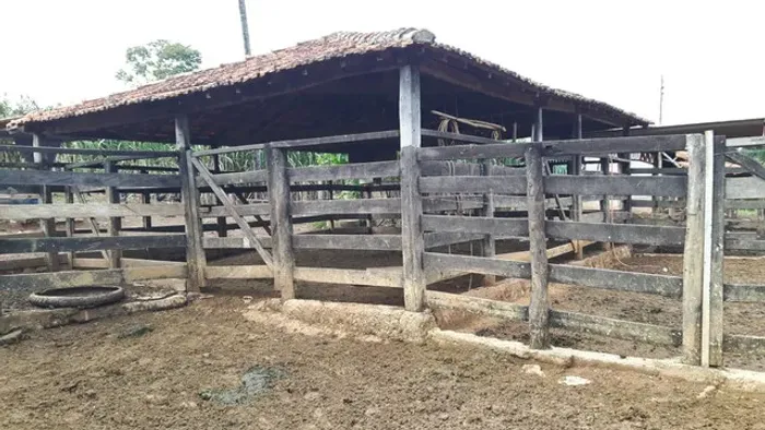 Fazenda cultura escriturada oportunidade beserra goias br 020 são 28 hectares