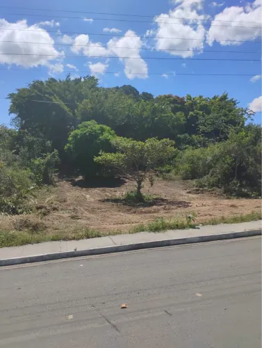 Terreno em Penedo AL próximo à vila do Carlinhos Maia