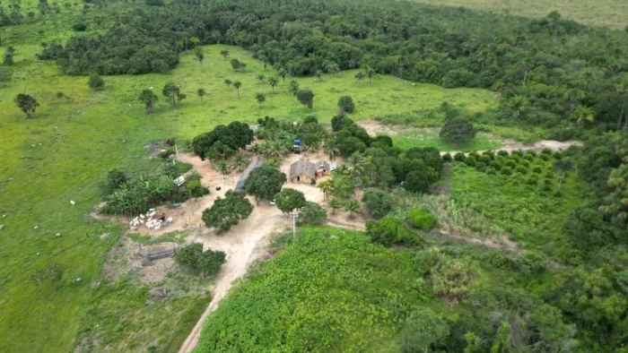 vendo fazenda , fica 153km de Balsas-ma 