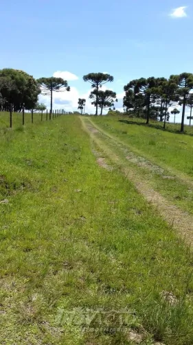 Fazenda Criúva Caxias do Sul