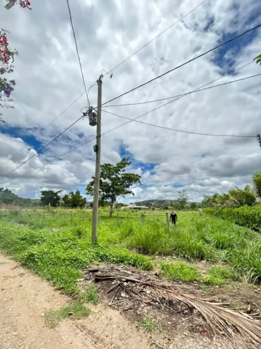Vendo uma chácara depois de Baguari próximo a BR381 atrás do restaurante MEXIDAO 