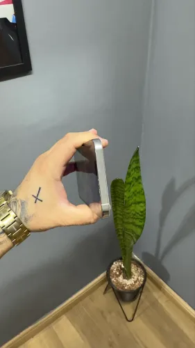 iPhone 12 Pro Max 128GB Branco