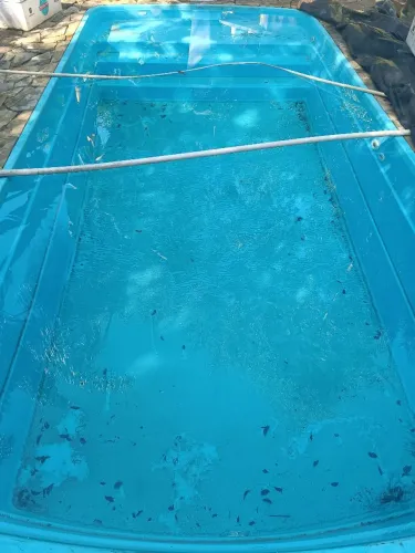 Limpeza e manutenção de piscinas.