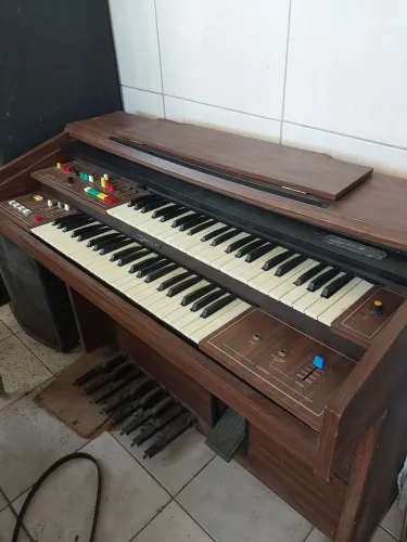 Organ