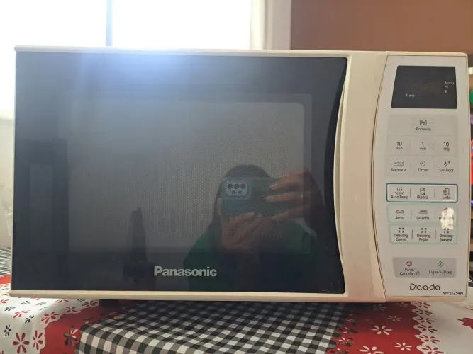 Microondas Panasonic + ferro de passar roupa