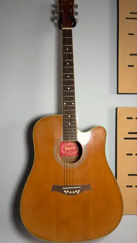 Violão Tagima