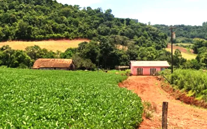 Sítio em Perola D'oeste/PR com 7,76 alqueires / 18,78 hectares
