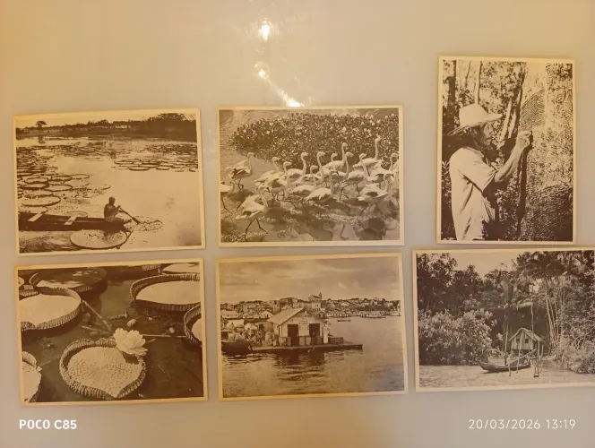 Conjunto de gravuras anos 50