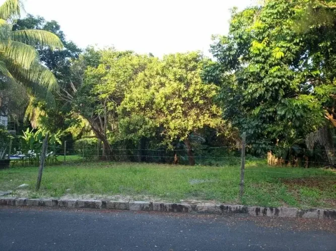 TERRENO A VENDA EM BUSCA VIDA
