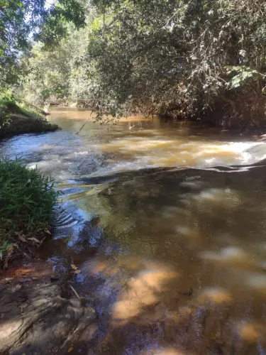 Imóvel para venda com 5000 metros quadrados em Zona Rural - Aragoiânia - GO