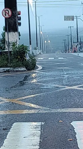 gaiolas e viveiros