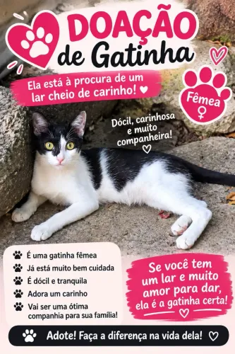 Doação