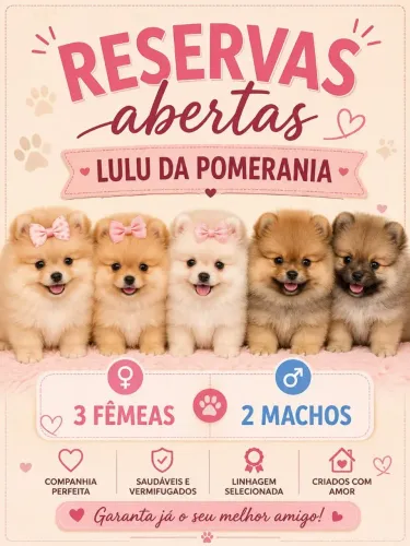 Filhotes