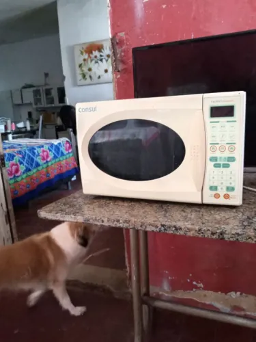 Micro-ondas cônsul