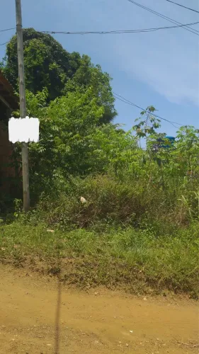 TERRENO 200m2 GRANDE E PLANO - ITACARÉ (BA)