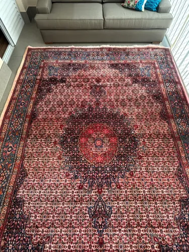 Tapete Persa Mood 3,73m x 2,63m
