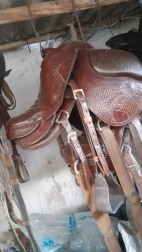 Vende-se celas sem cabeça 