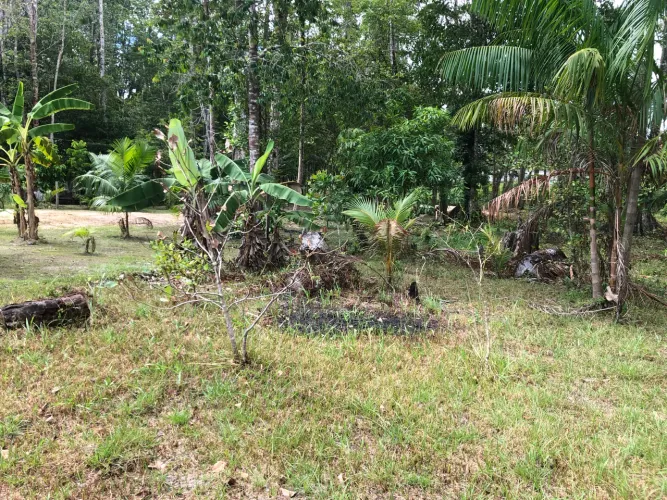 Terreno com igarapé e sem igarapé