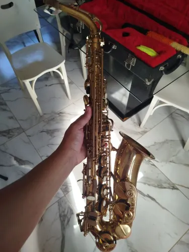 Sax alto vincy