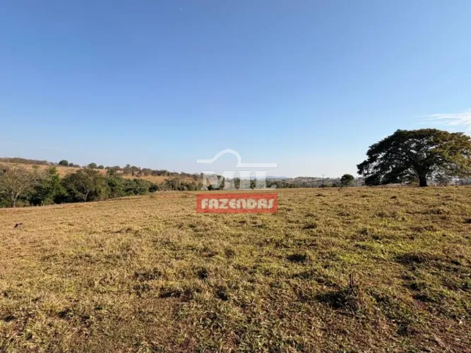 Chácara 4,57 Alqueires (22,11 Hectares) São Francisco de Goiás - GO