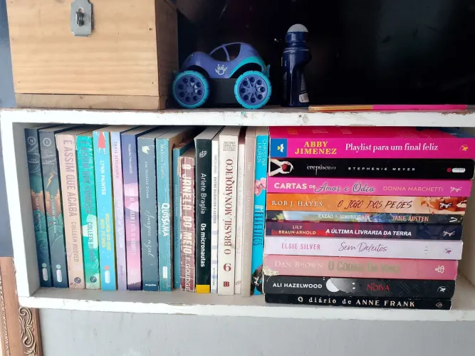 Vendo livros