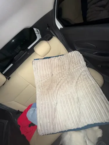Cama de cachorro 