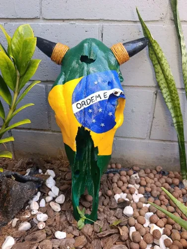 Crânio bovino decorativo
