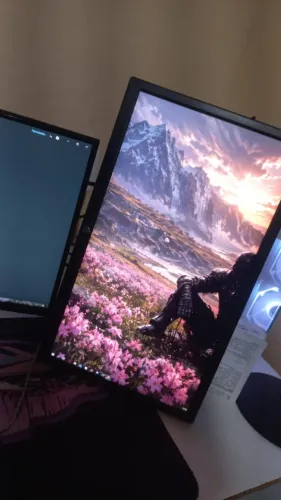 monitor