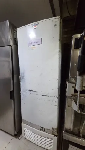 FREEZER VERTICAL FRICON 567L
