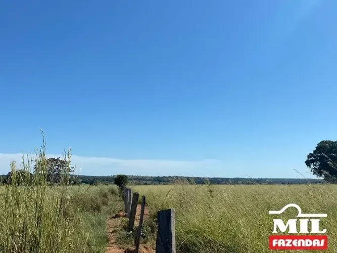 Fazenda de 179 alqueires (871 hectares) em São Miguel do Araguaia - GO