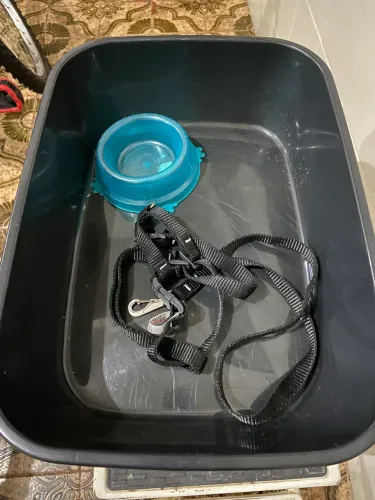 Caixa de areia + coleira Peitoral + vasilha p/Gato